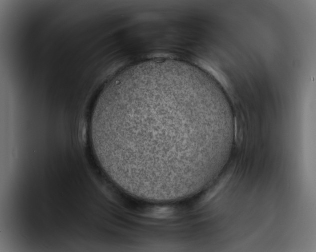 X0000092050157200710031049