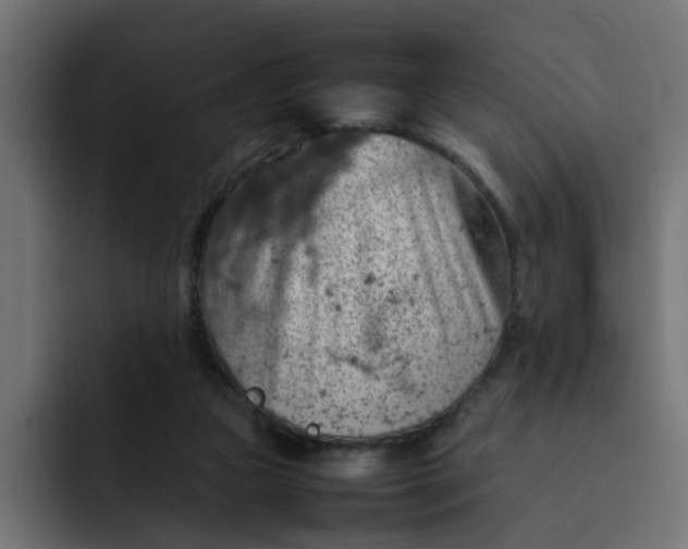 X0000092050161200710031049