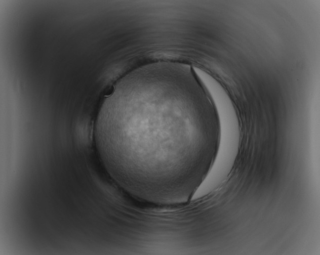 X0000092050168200710031049