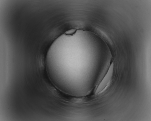 X0000092050170200710031049