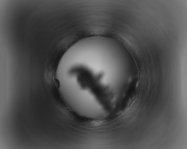 X0000092050172200710031049