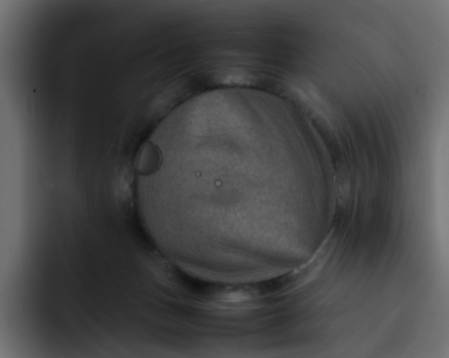 X0000092050175200710031049