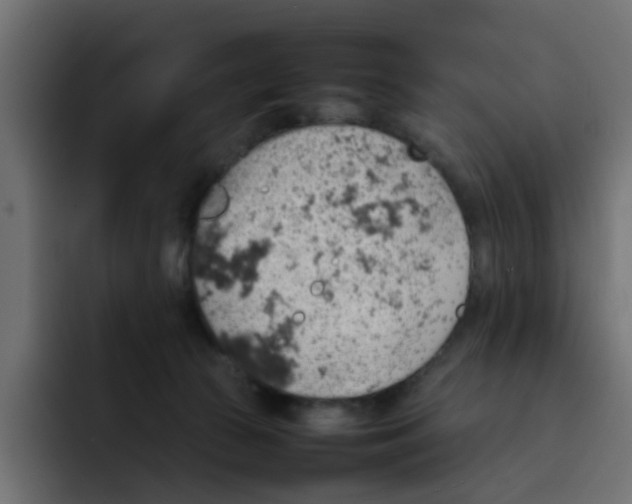 X0000092050177200710031049