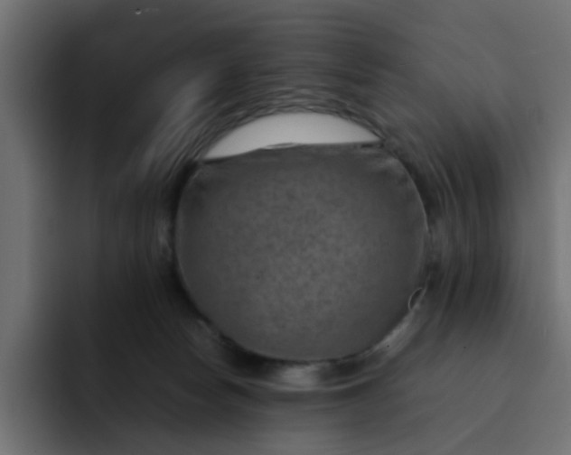 X0000092050178200710031049