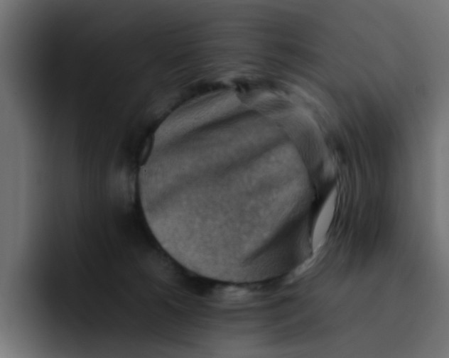 X0000092050180200710031049