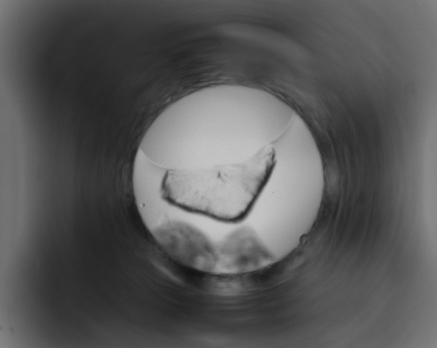 X0000092050181200710031049