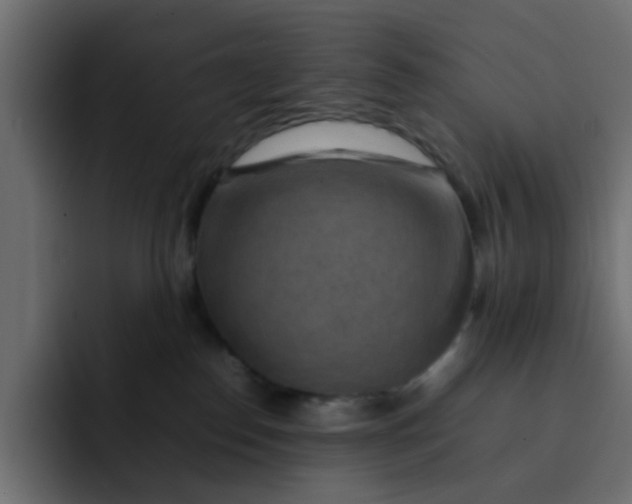 X0000092050186200710031049