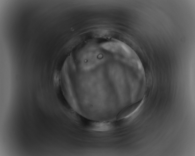 X0000092050191200710031049