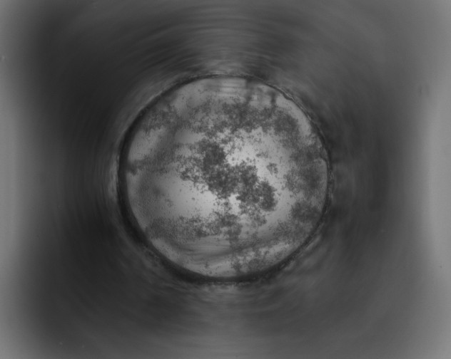 X0000092050194200710031048