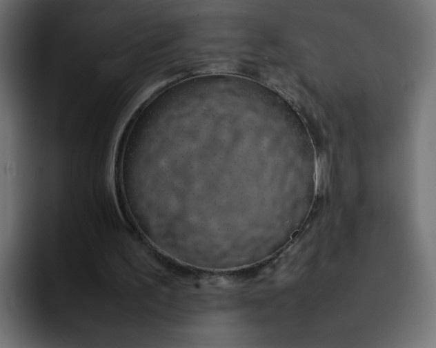 X0000092050195200710031048