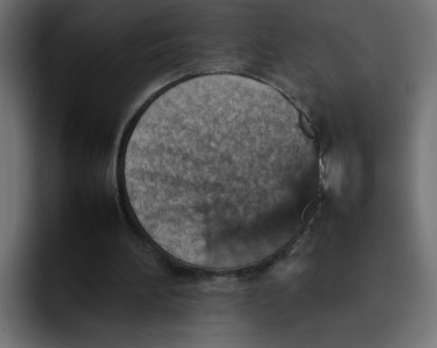 X0000092050196200710031048