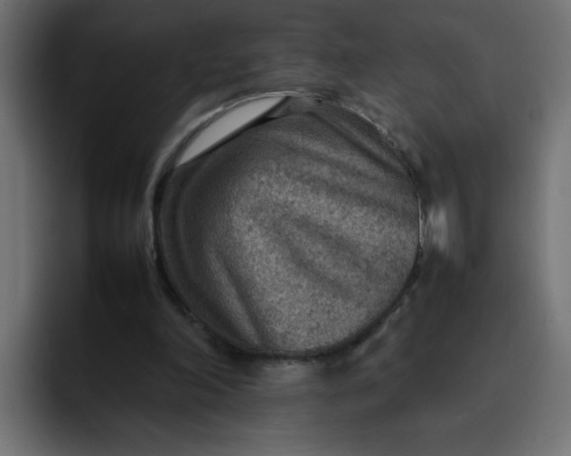 X0000092050198200710031048