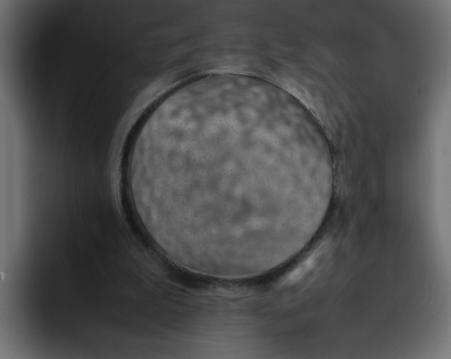 X0000092050199200710031048