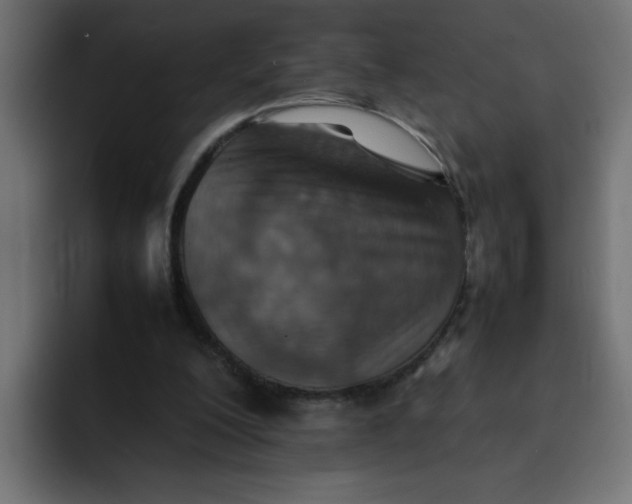 X0000092050200200710031048