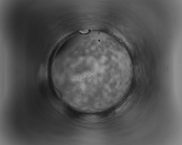 X0000092050203200710031048