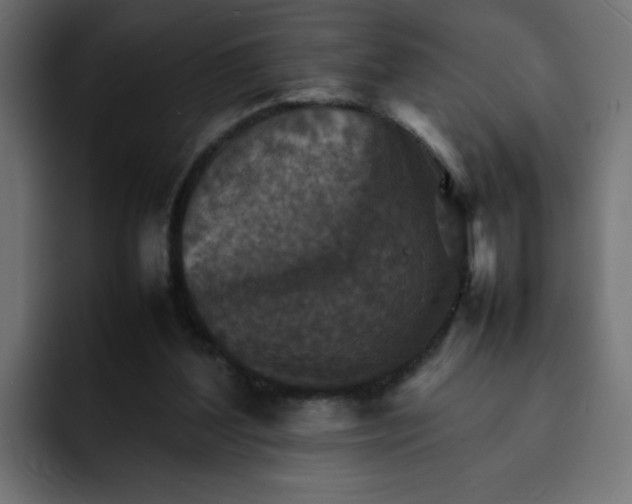 X0000092050204200710031048