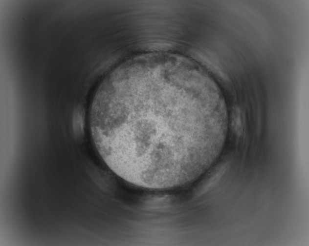 X0000092050206200710031048