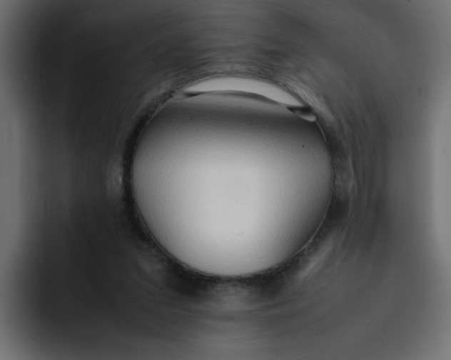 X0000092050207200710031048