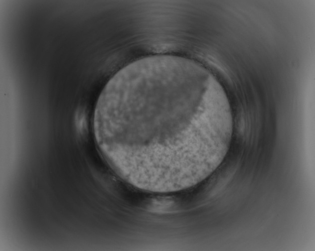 X0000092050214200710031048