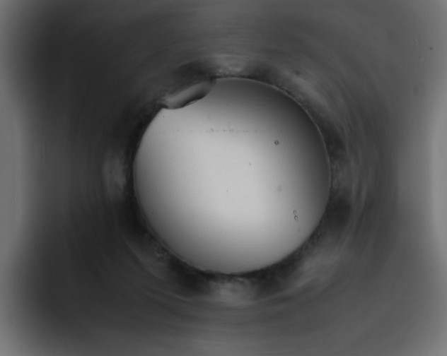 X0000092050215200710031048