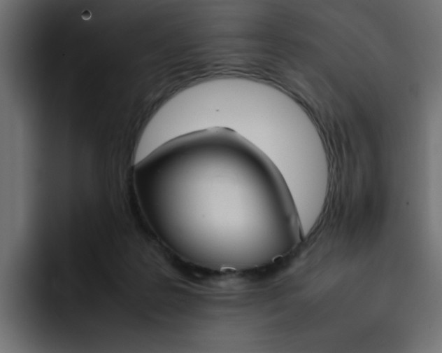 X0000092050219200710031048