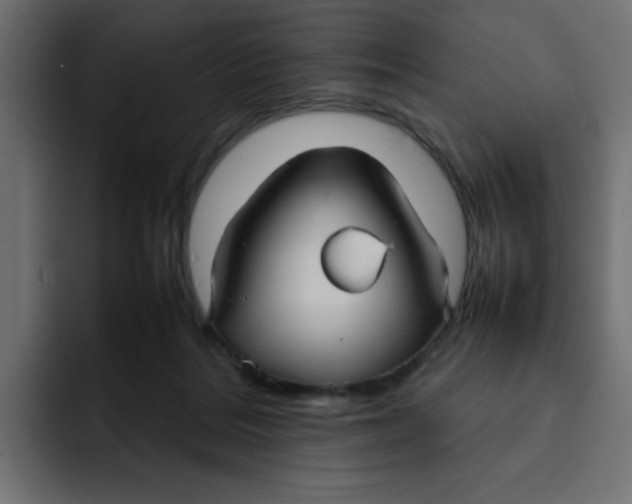 X0000092050220200710031048