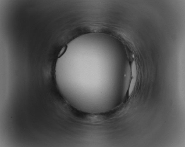 X0000092050221200710031048