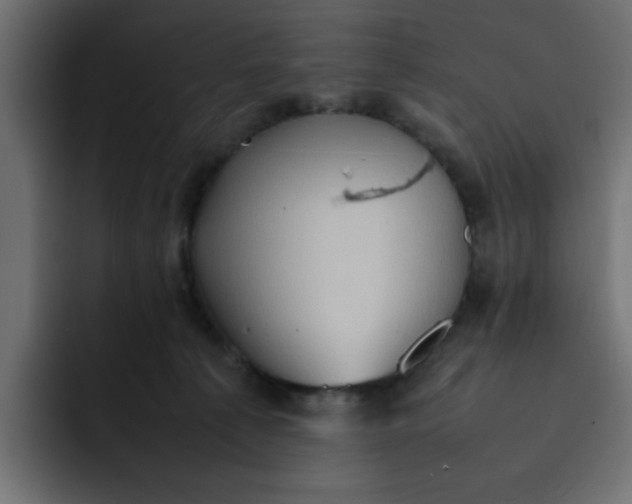 X0000092050225200710031048