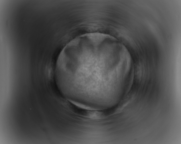 X0000092050226200710031048