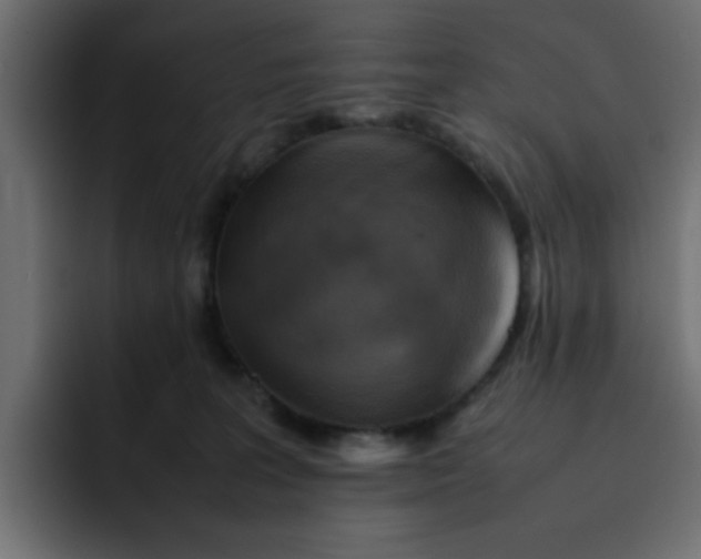 X0000092050227200710031048