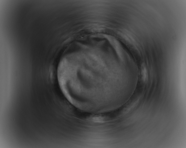 X0000092050228200710031048