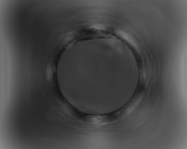 X0000092050229200710031048