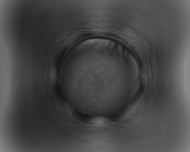 X0000092050231200710031048