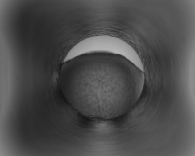 X0000092050235200710031048