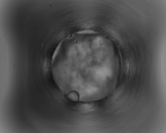 X0000092050236200710031048