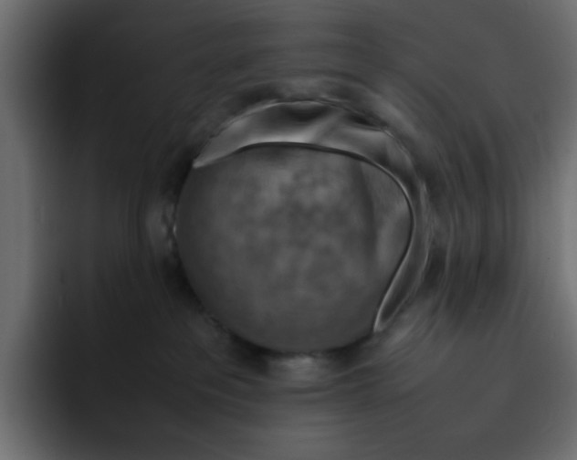 X0000092050237200710031048