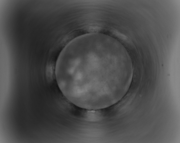 X0000092050240200710031048