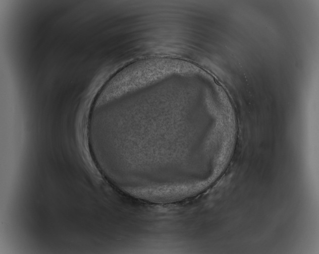 X0000092050241200710031047