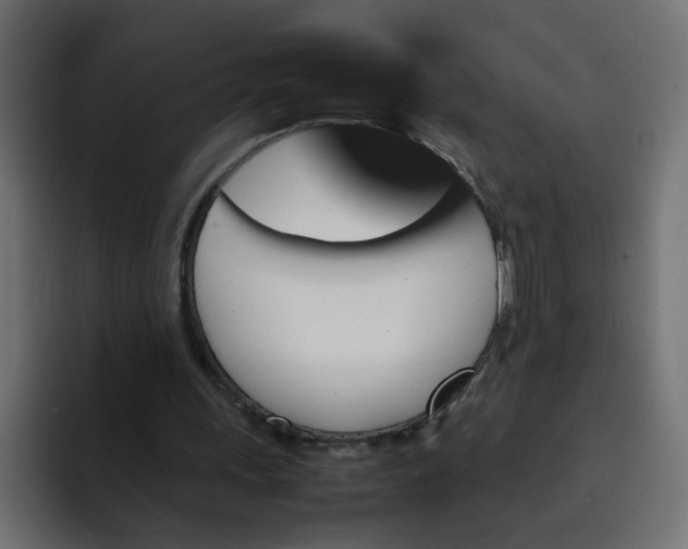 X0000092050243200710031047