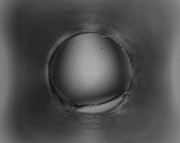 X0000092050244200710031047