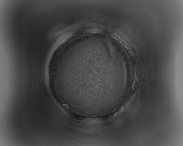 X0000092050245200710031047