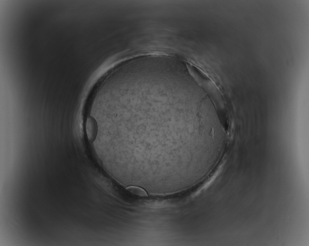 X0000092050246200710031047