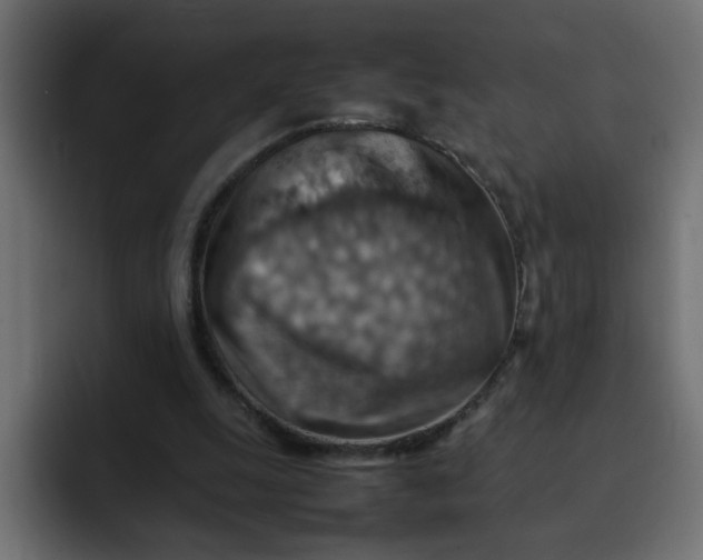 X0000092050247200710031047