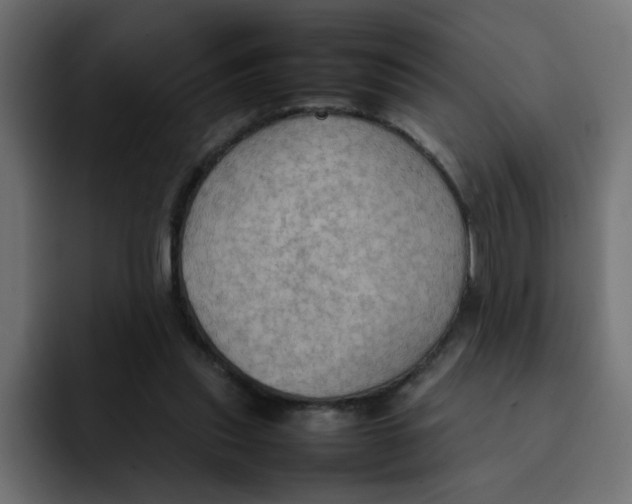 X0000092050253200710031047