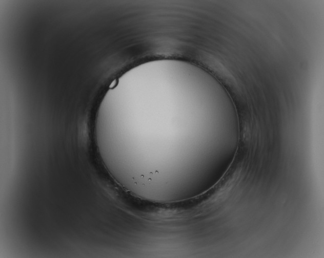 X0000092050256200710031047