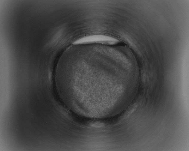 X0000092050258200710031048