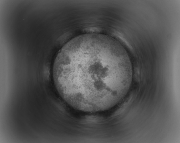 X0000092050259200710031048