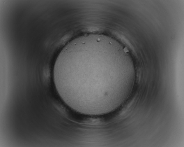 X0000092050260200710031048