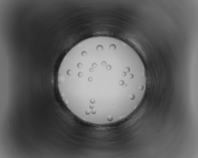 X0000092050261200710031048