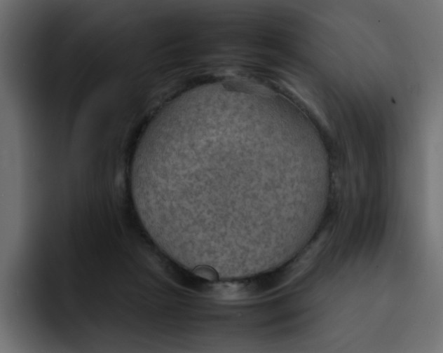 X0000092050265200710031048